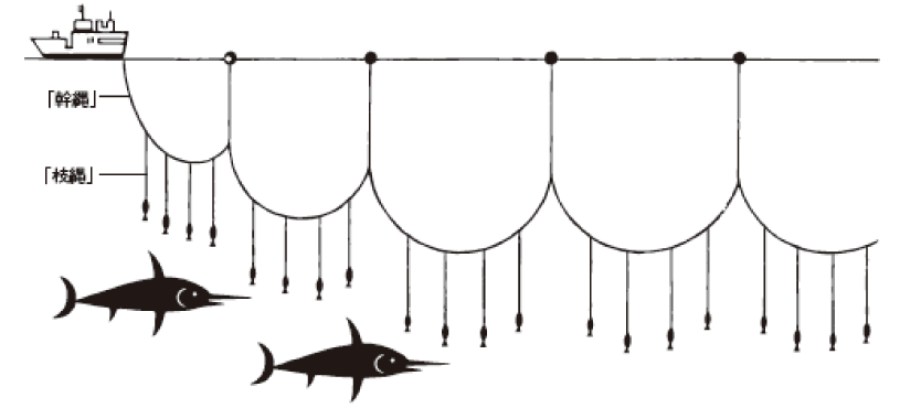 気仙沼メカジキの漁法[突きん棒漁]
