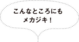 こんなところにもメカジキ！